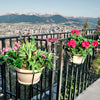 Metal Hanging Balcony Flower Pot Holder