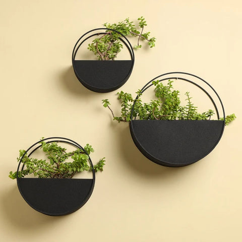 Modern Round Wall Mounted Metal Planter Shelf – Black