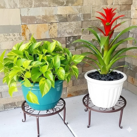 Metal Plant Stand