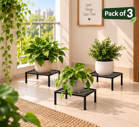 Pack of 3 Premium Metal Plant Stands | Black Plant Risers