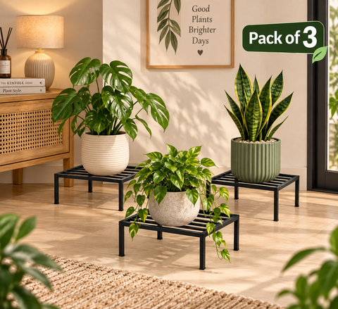 Pack of 3 Premium Metal Plant Stands | Black Plant Risers